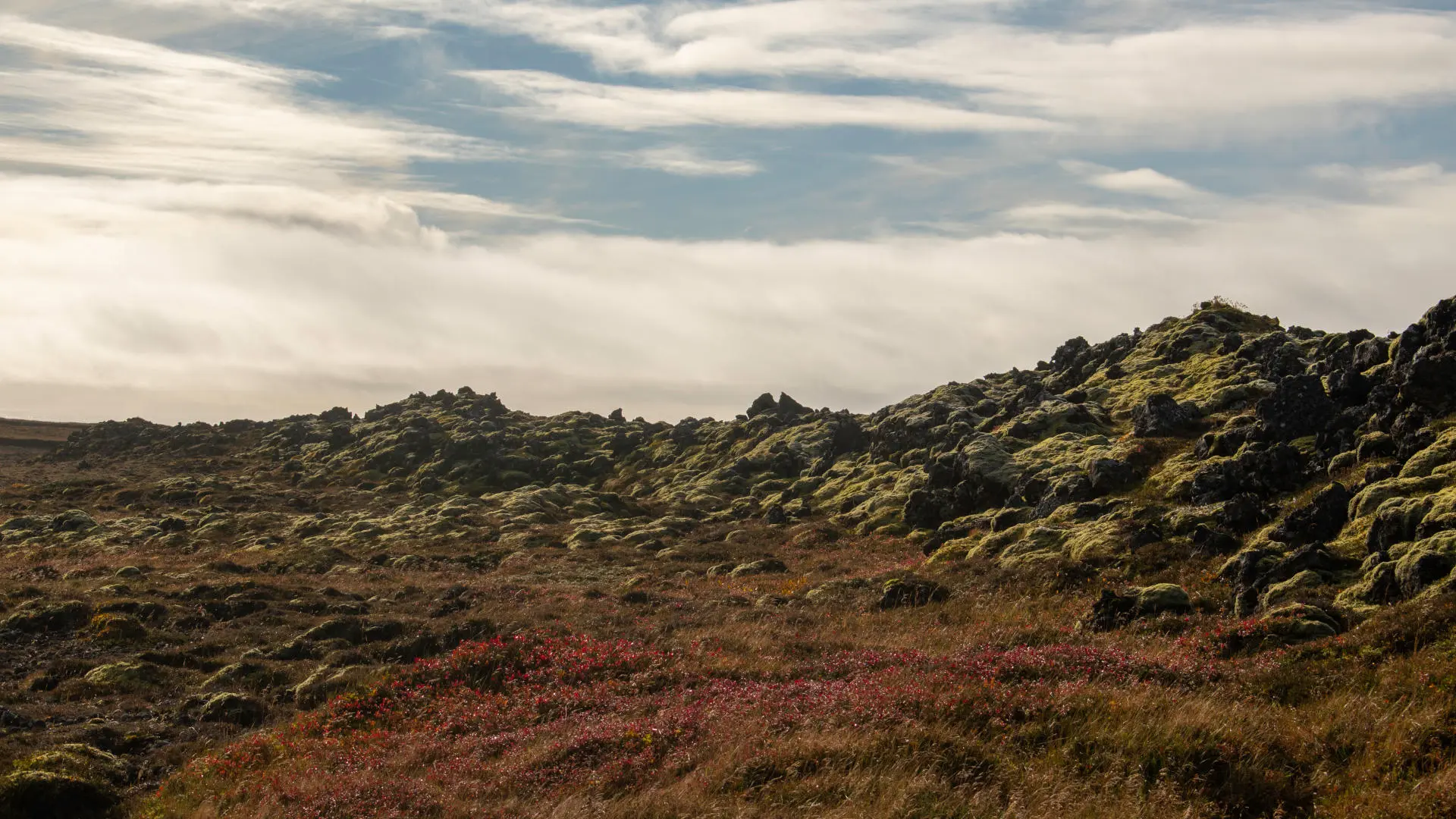 Moss covered lava fields with fall colors